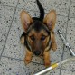 esa es de cuando tenia 5 meses  aora tiene 1 año